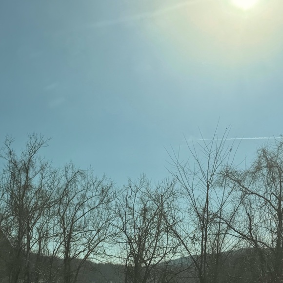 liz_01457